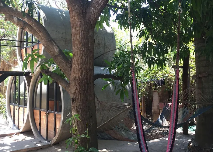Hostel Pipe House *